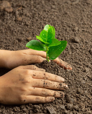 Community Engagement